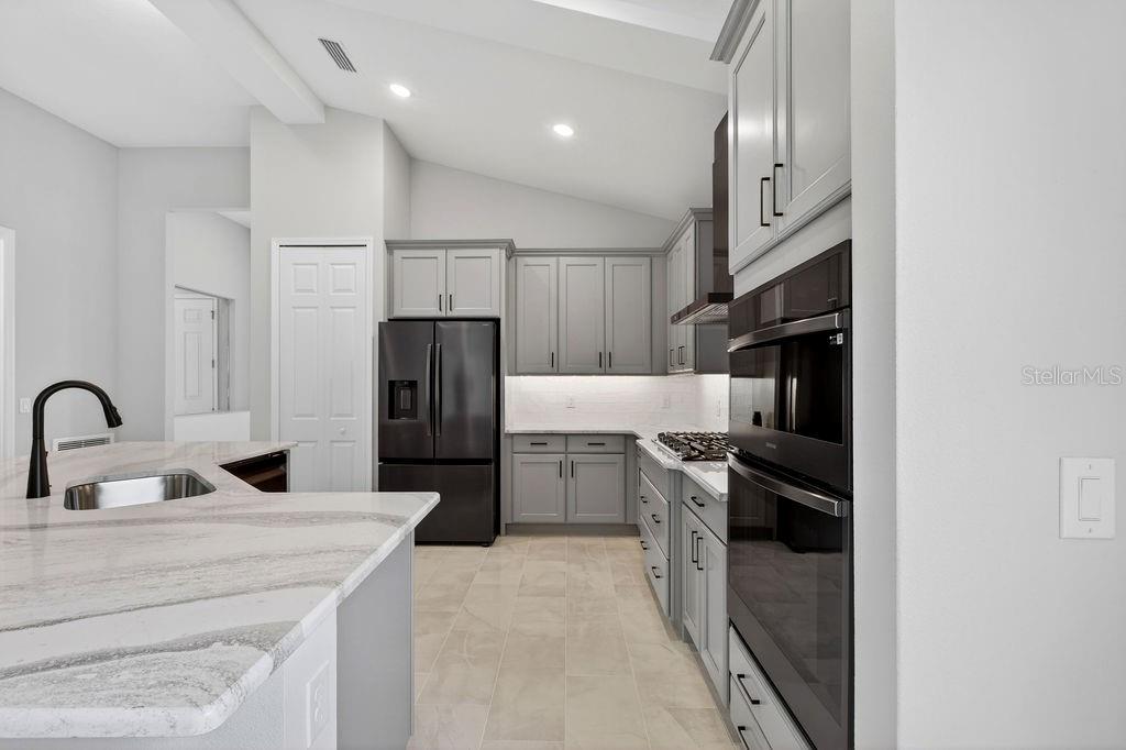 LAKES OF MOUNT DORA - Residential