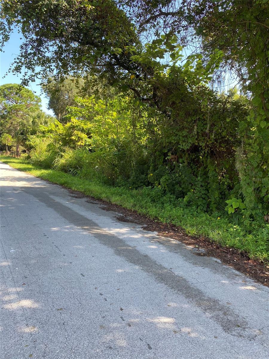 Nice wooded lot located in northern Mims. Great for a future single family home site. Two additional parcels (20G-34-37-11-91-17 & 20G-34-37-AF-91-14) available for a total of one acre lot.; Cleared: No