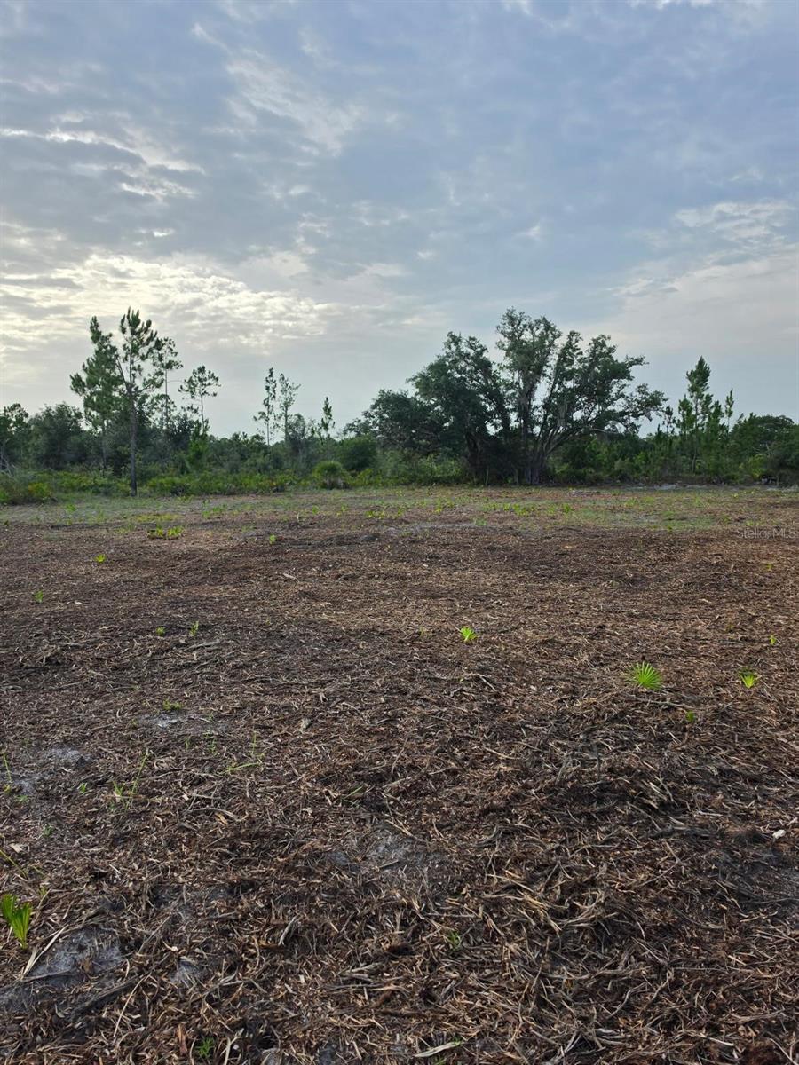 Photo of 1106 Calliandra Drive, Indian Lake Estates, FL 33855 (MLS # TB8535598)