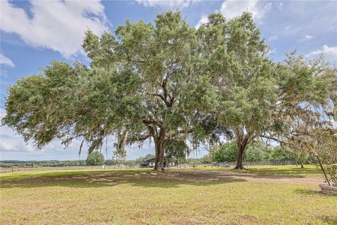 Tiny photo for 1392 SW 103rd Avenue, Webster, FL 33597 (MLS # OM700749)