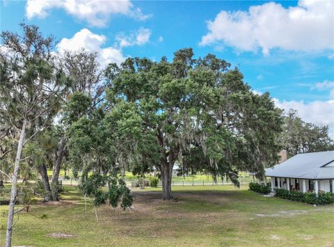 Tiny photo for 1392 SW 103rd Avenue, Webster, FL 33597 (MLS # OM700749)