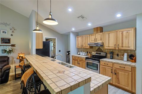 Tiny photo for 1392 SW 103rd Avenue, Webster, FL 33597 (MLS # OM700749)