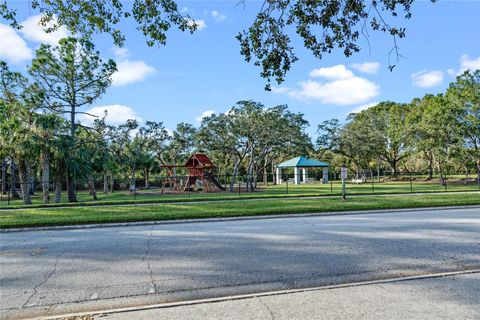 A home in TAMPA