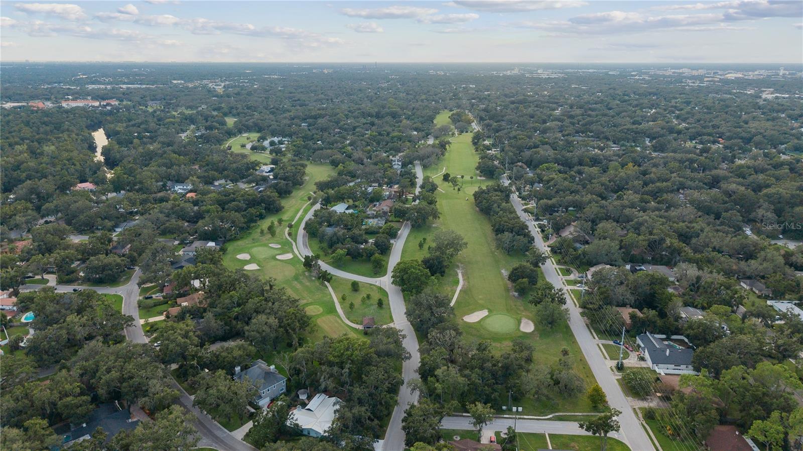 TEMPLE TERRACE ESTATES REP - Residential