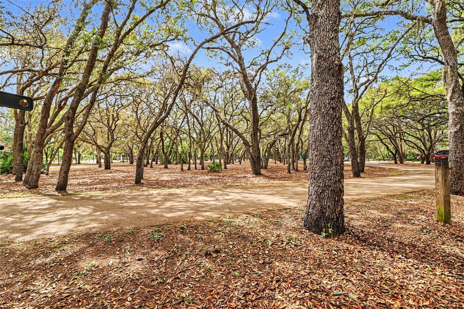 TRAILS-UNIT 3 - Residential