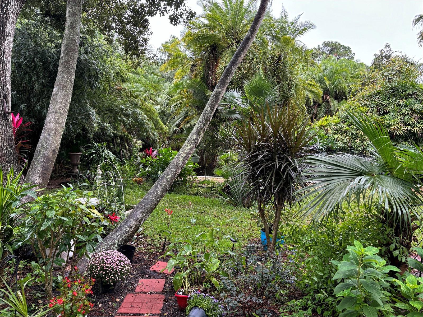 ORCHID SPGS VILL 200 CONDO - Residential