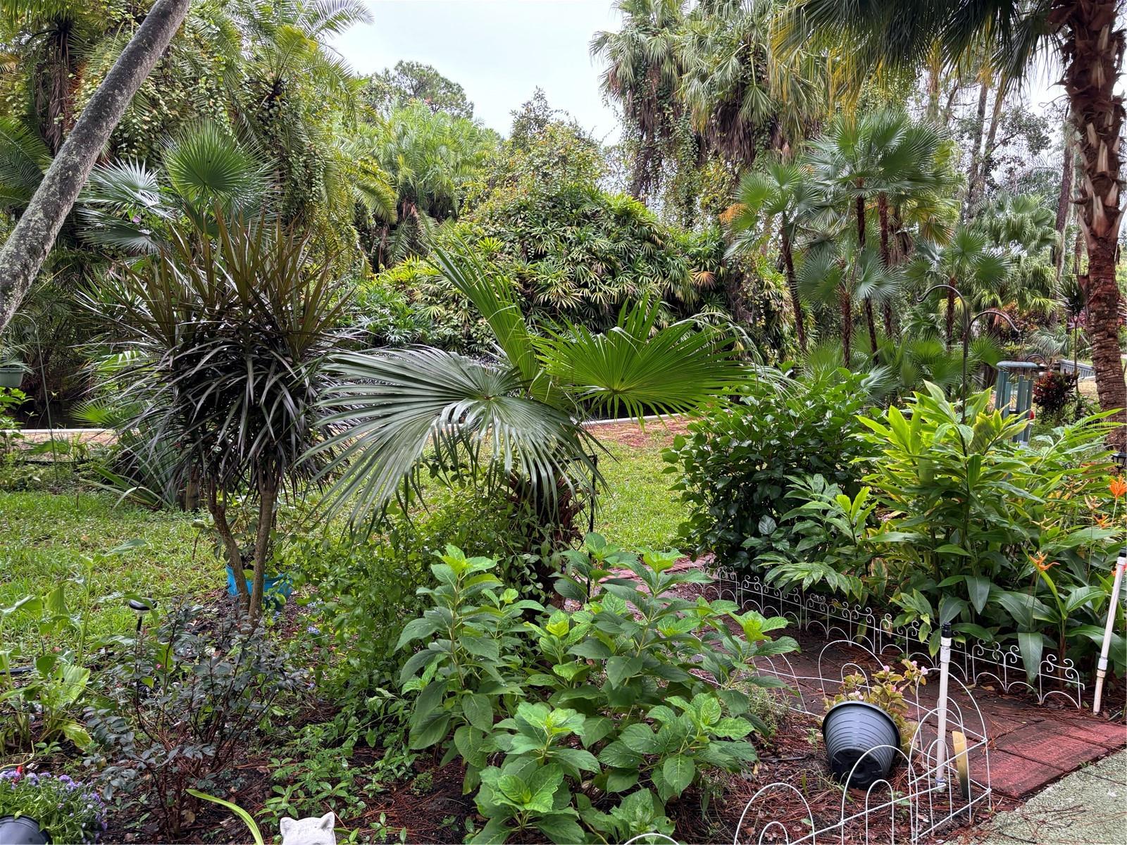 ORCHID SPGS VILL 200 CONDO - Residential