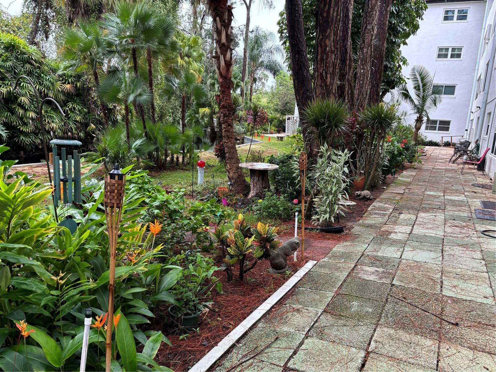 ORCHID SPGS VILL 200 CONDO - Residential