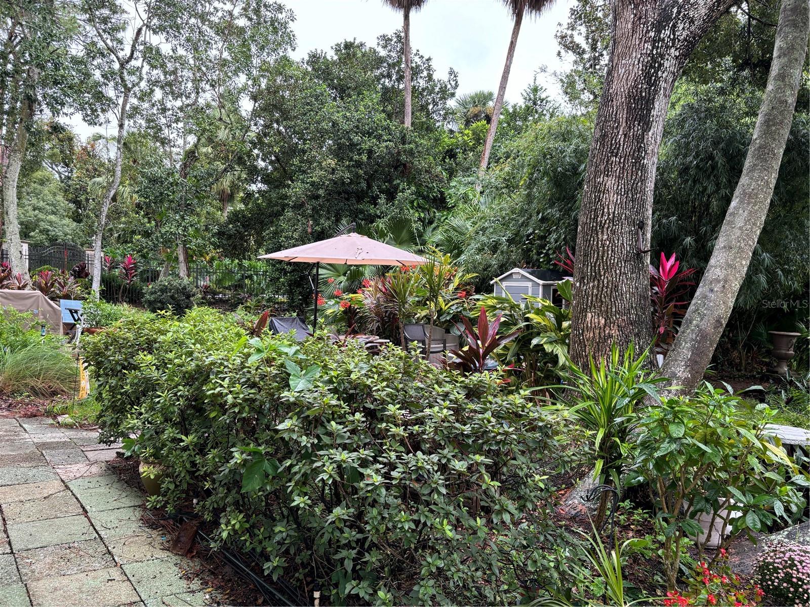 ORCHID SPGS VILL 200 CONDO - Residential