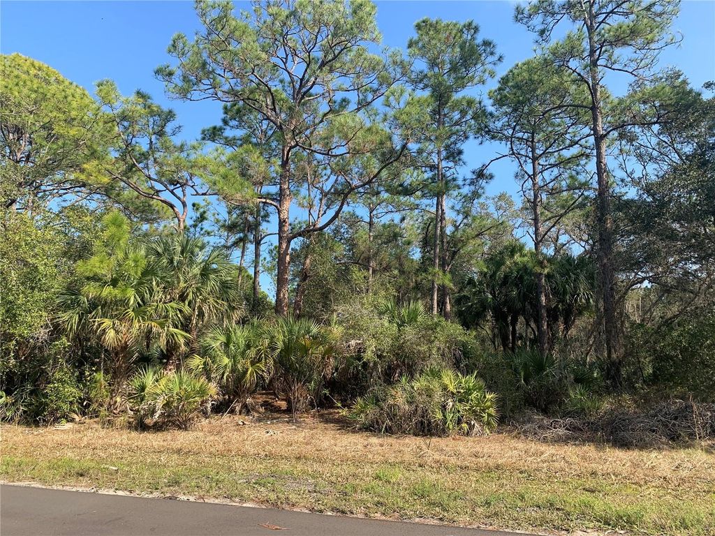 Photo of 1194 Mallet Lane, Port Charlotte, FL 33953 (MLS # N6137031)