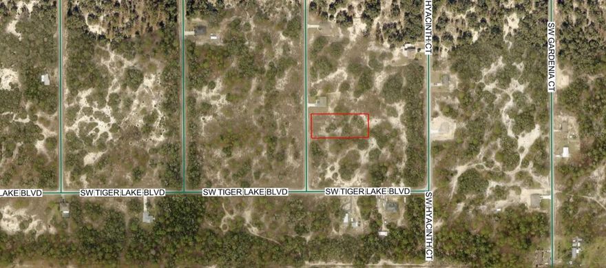 Discover the perfect opportunity to own a piece of Florida’s natural beauty in Marion County! This vacant land is ideal for building your dream home or investing for the future. Enjoy the privacy and tranquility of country living while still being within a convenient drive to nearby towns, shopping, dining, and outdoor recreation.

Don’t miss out—secure your slice of Marion County today!