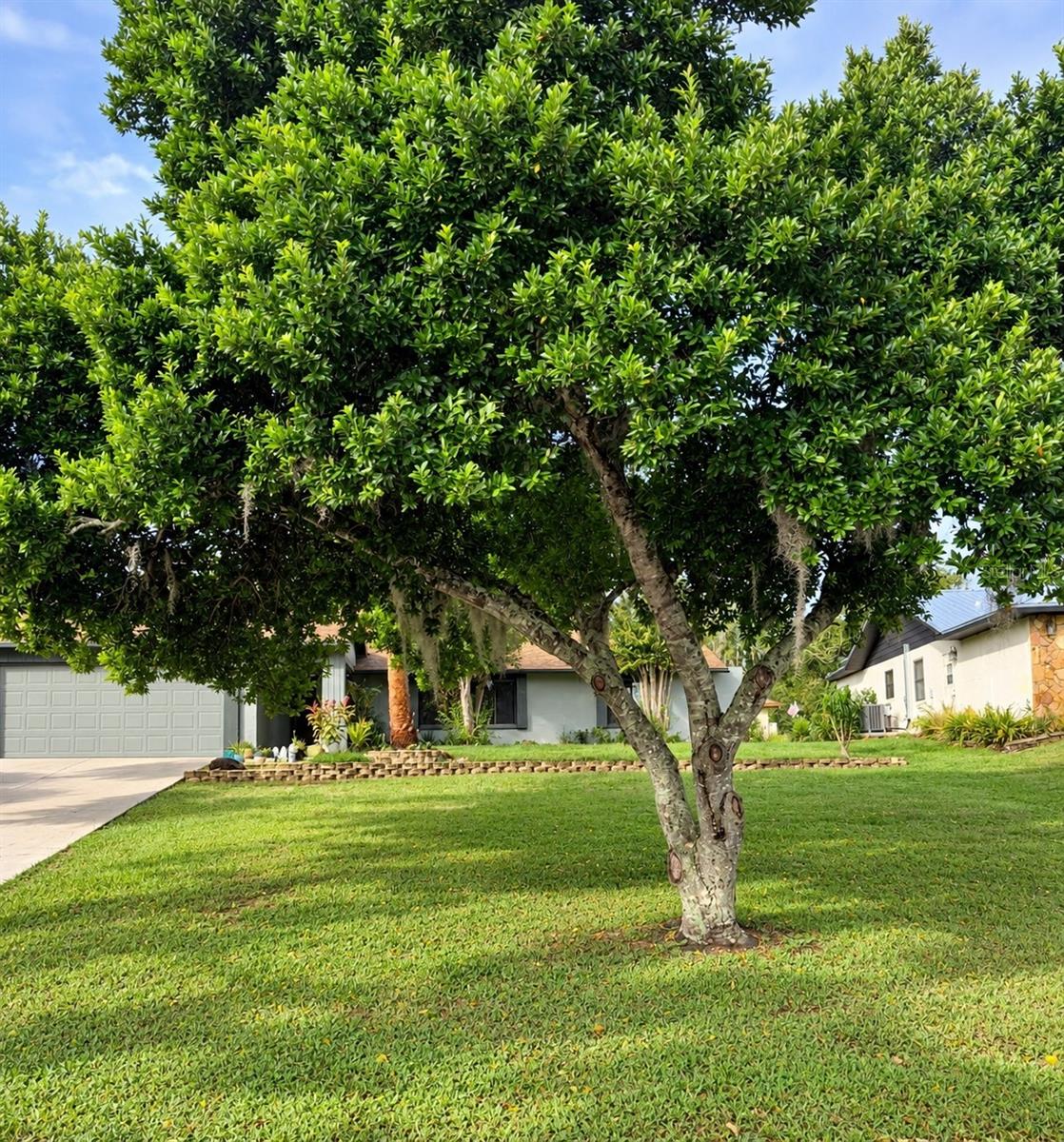 8664 HEATHER BOULEVARD
