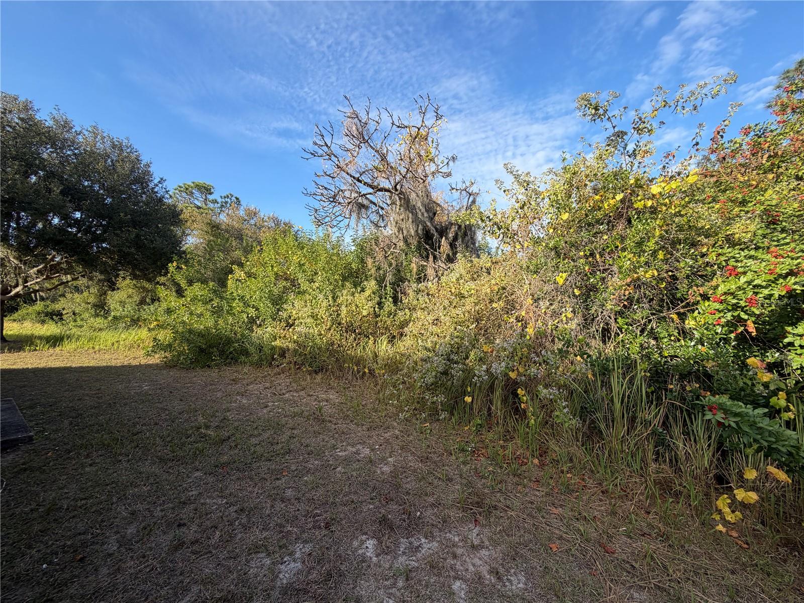 SUMMERFIELD VILLG 1 TRCT 38 - Residential Lease