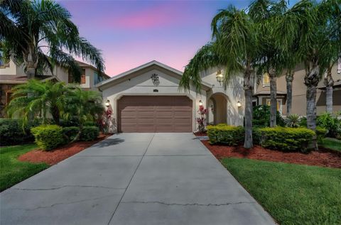 29219 PERILLI PLACE WESLEY CHAPEL FL 33543