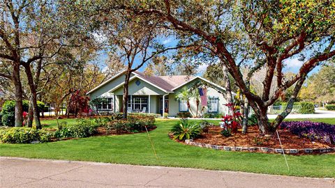 A home in HAINES CITY