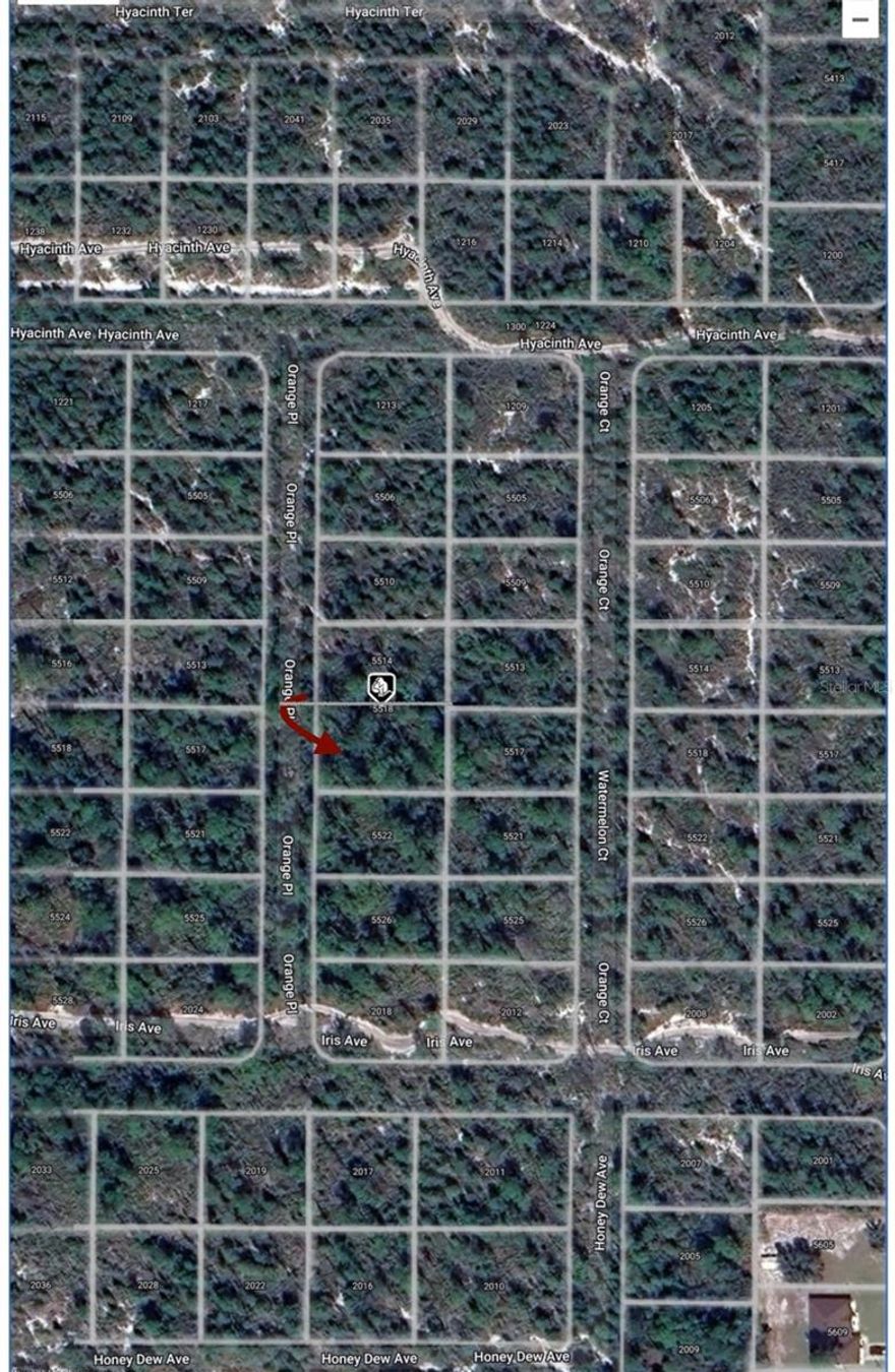 A great building site or investment Orange Blossom community. Able to build your custom home on this land. Residential location is on the rise! Nearby Restaurants, a shopping center, and so much more. Close to Walmart Supercenter and a short distance from Advent Health Hospital. Listing agent is a member of the selling LLC.
