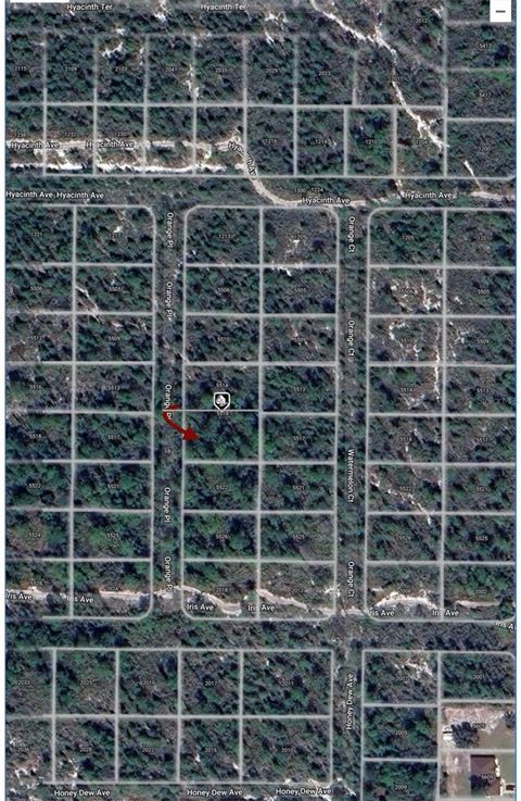 ORANGE PLACE LOT 13 SEBRING FL 33875