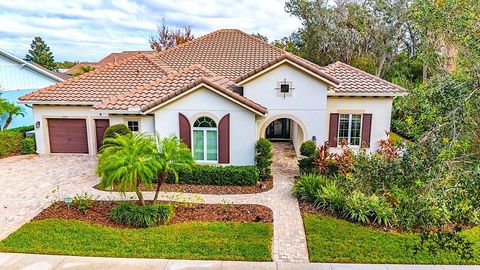 A home in LITHIA