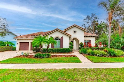 A home in LITHIA