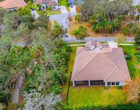 A home in LITHIA