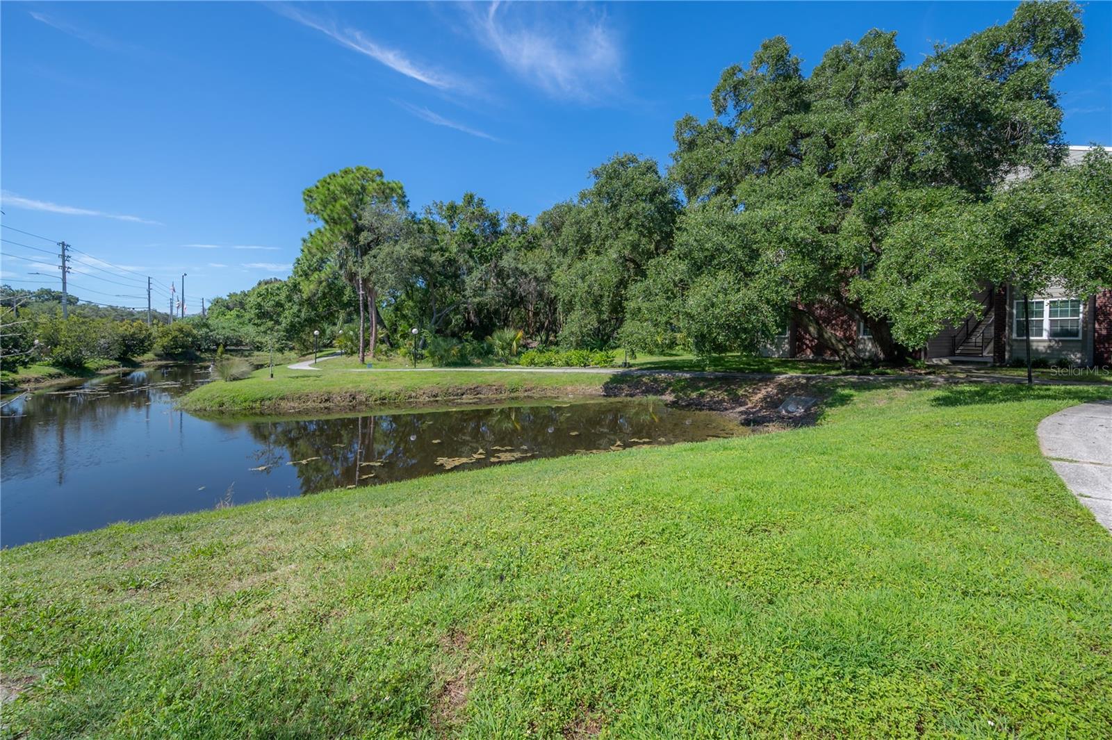 ENCLAVE AT ST PETERSBURG - Residential