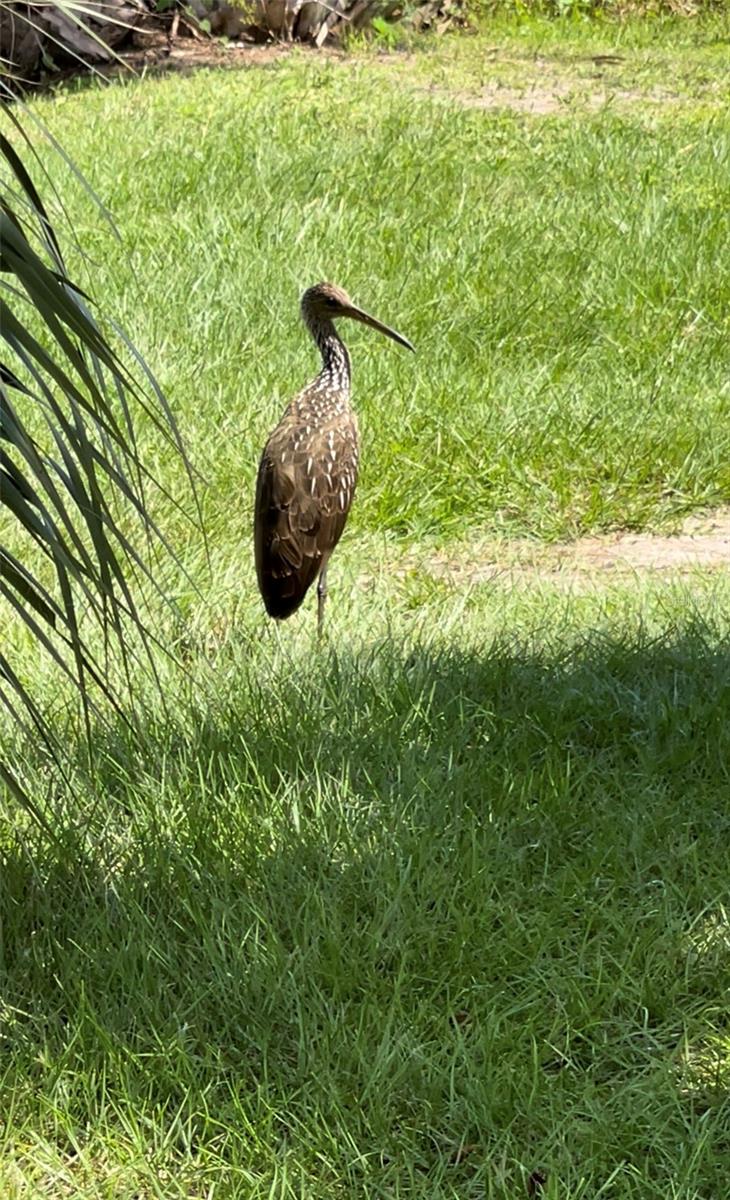 MACKINTOSH - Residential