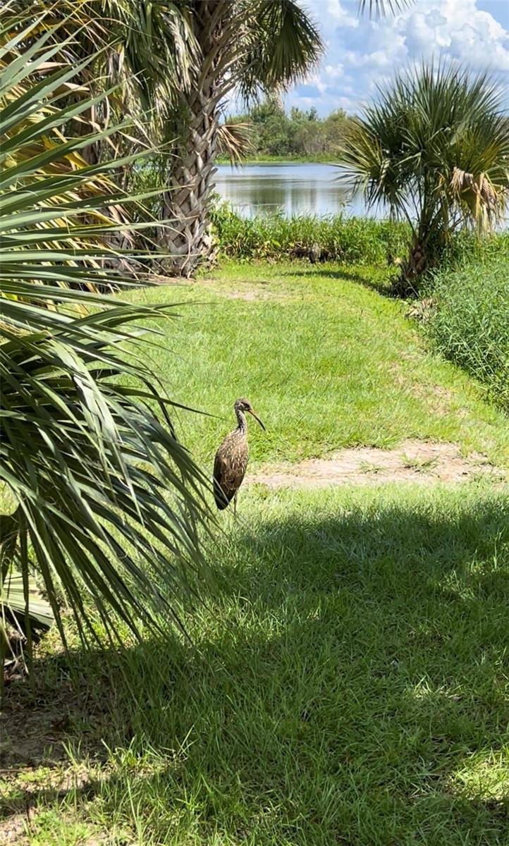 MACKINTOSH - Residential