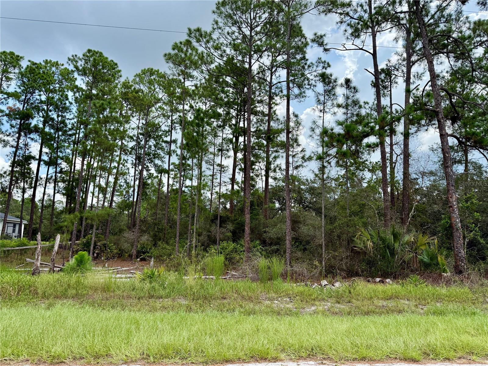 1 acre lot in Equestrian Royal Trails Subdivision, zoning permits 2 horses an acre. Access to Lake Norris and Lake Marion within the community. Many miles of paved roads to explore, bike ride, jog or ride your golf cart. HOA is $92 A YEAR--There is no time limit to build-
Once you build, you may park your RV and boat, the minimum square footage is 1,200. Royal Trails is a deed restrictive community, no mobile, modular or manufacture homes allowed. SURVEY IS AVAILABLE.