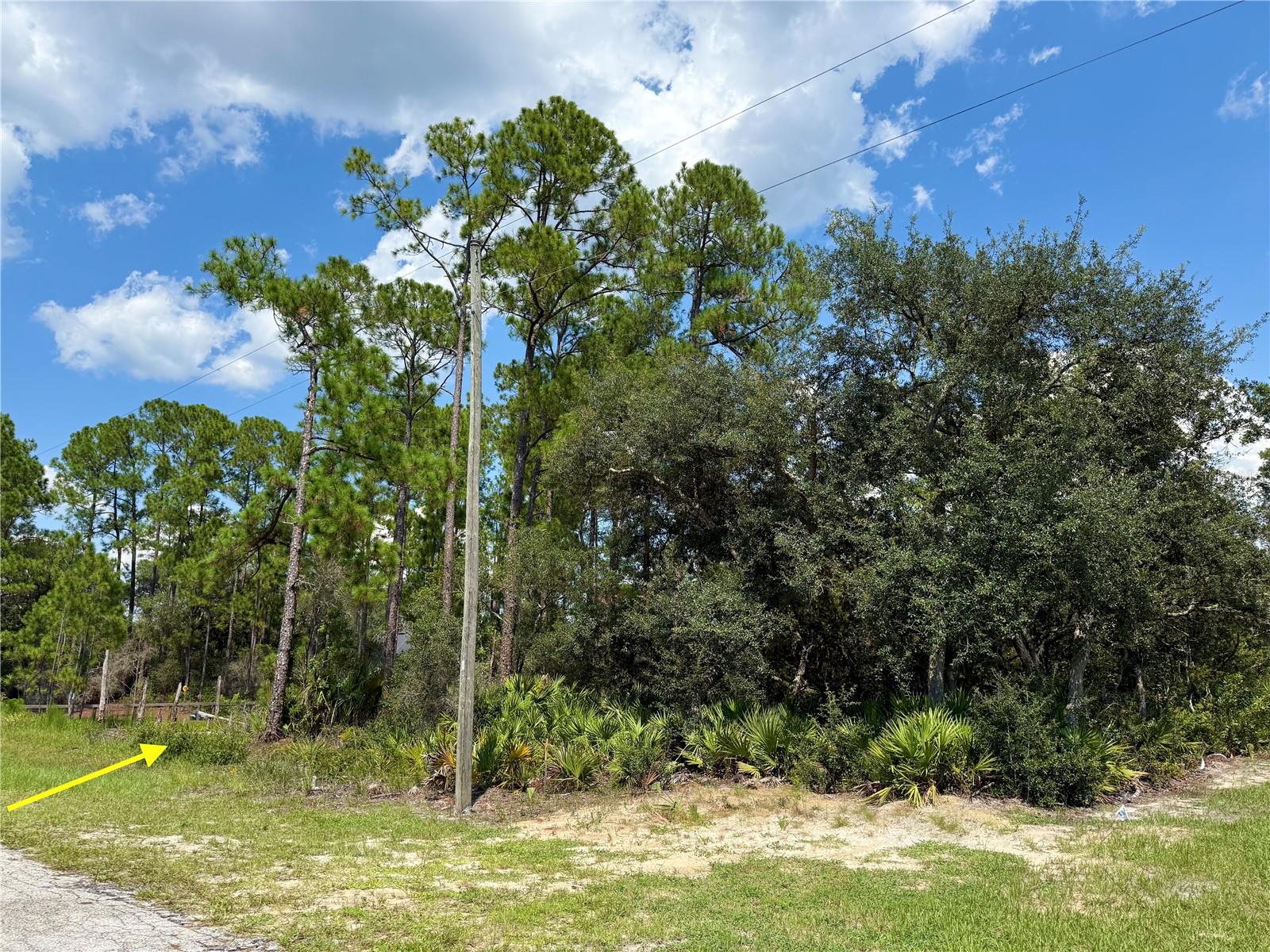 ROYAL TRAILS UNIT 01 - Land