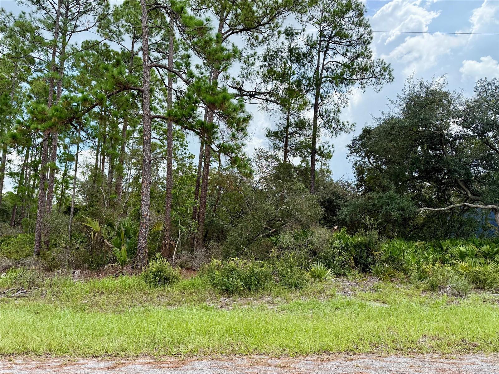 LOT 20 BALSAM STREET