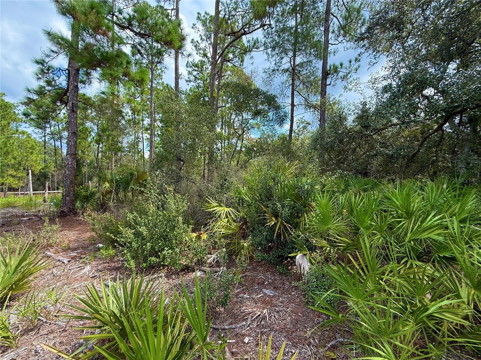 ROYAL TRAILS UNIT 01 - Land