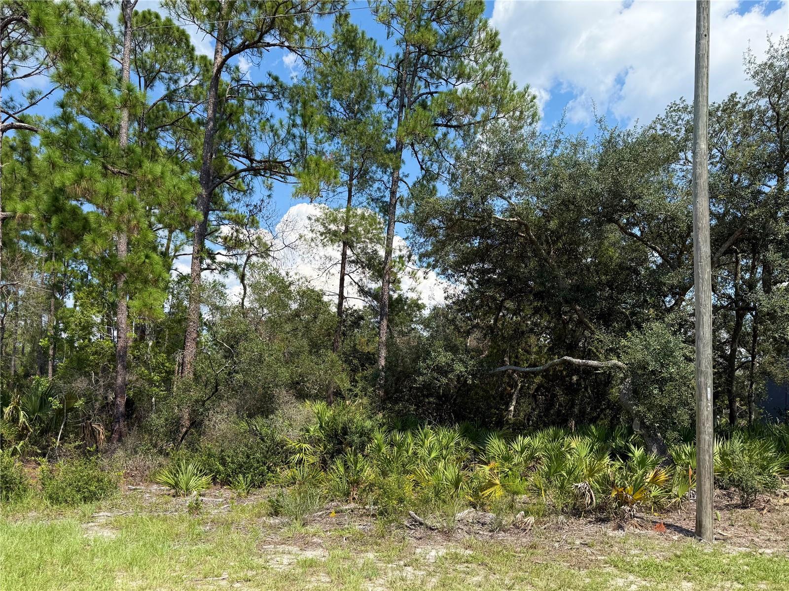 ROYAL TRAILS UNIT 01 - Land