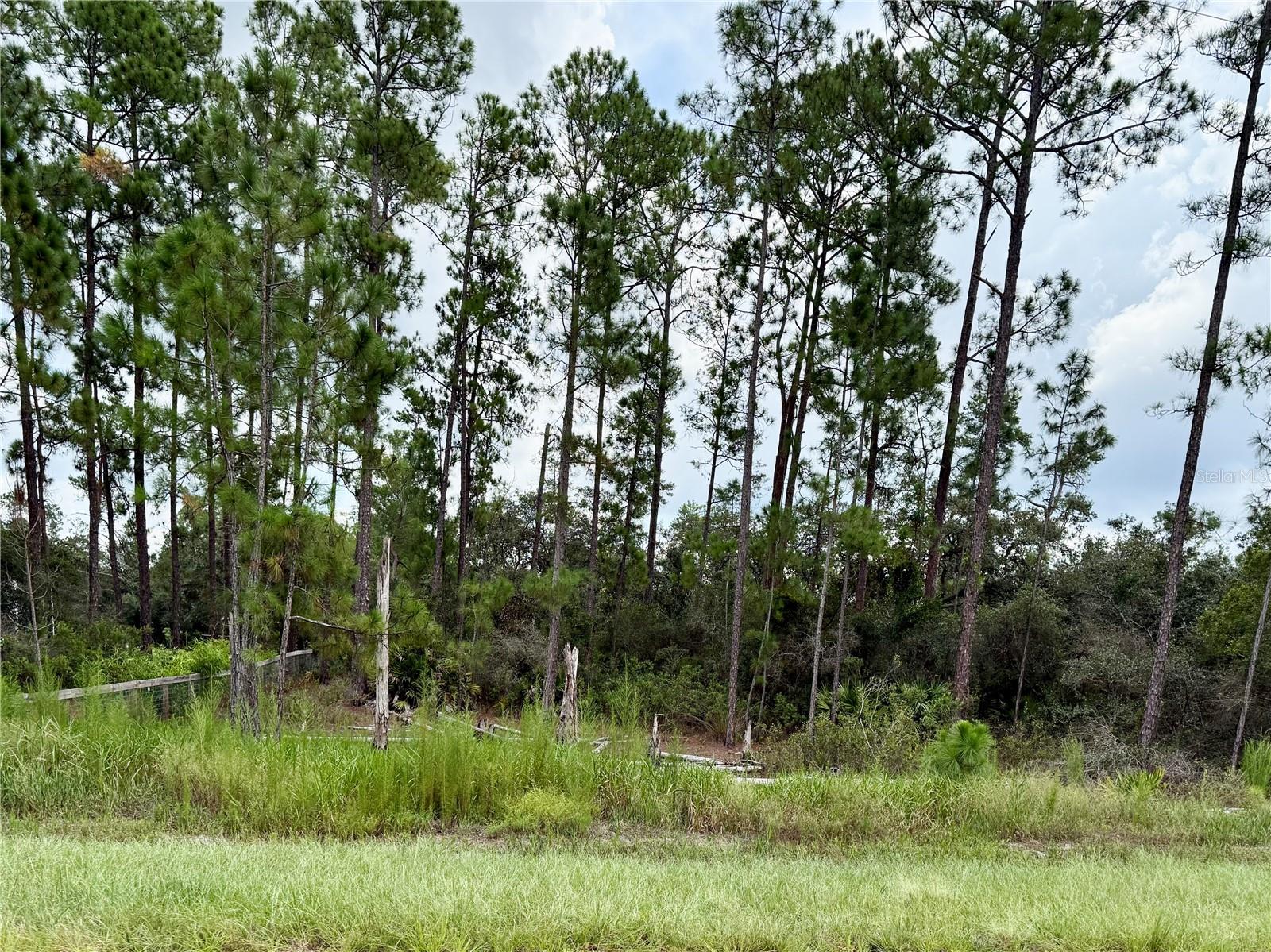 LOT 20 BALSAM STREET