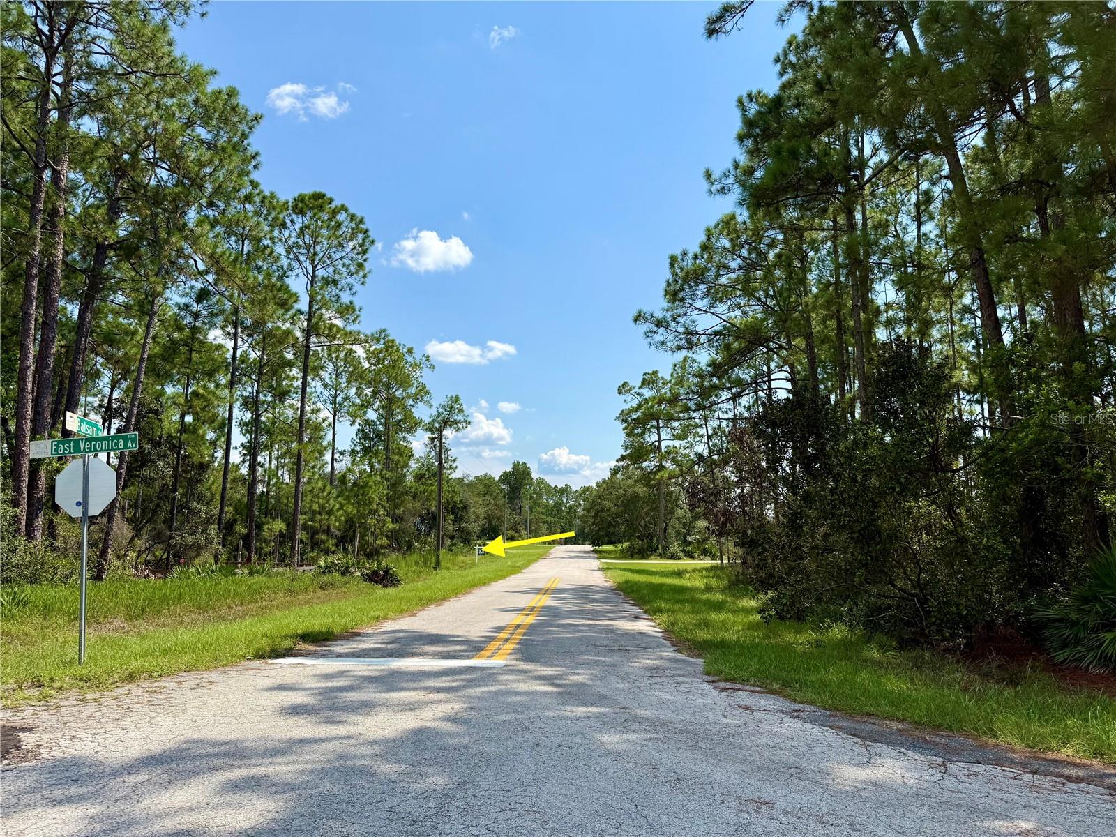 ROYAL TRAILS UNIT 01 - Land