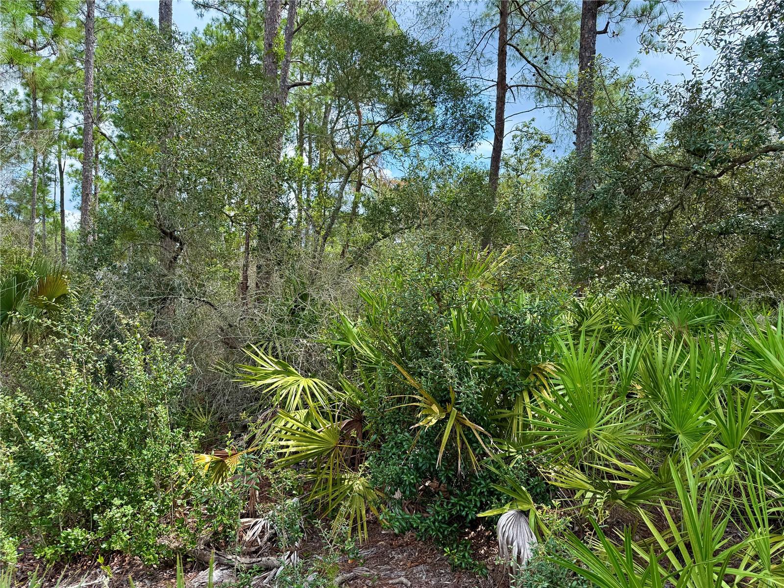 ROYAL TRAILS UNIT 01 - Land