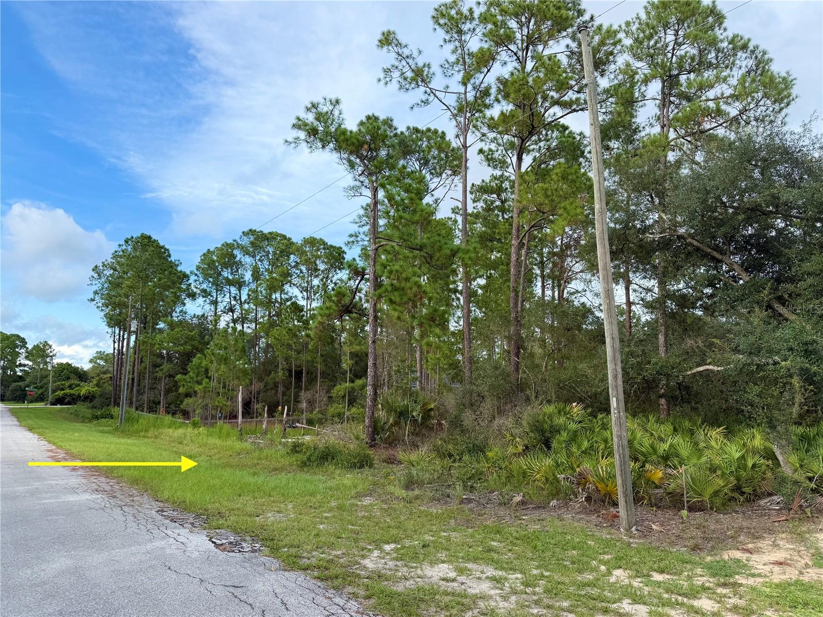 LOT 20 BALSAM STREET