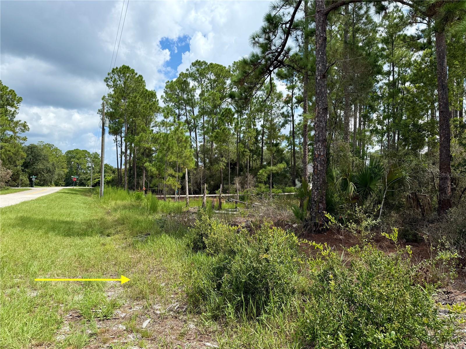 ROYAL TRAILS UNIT 01 - Land