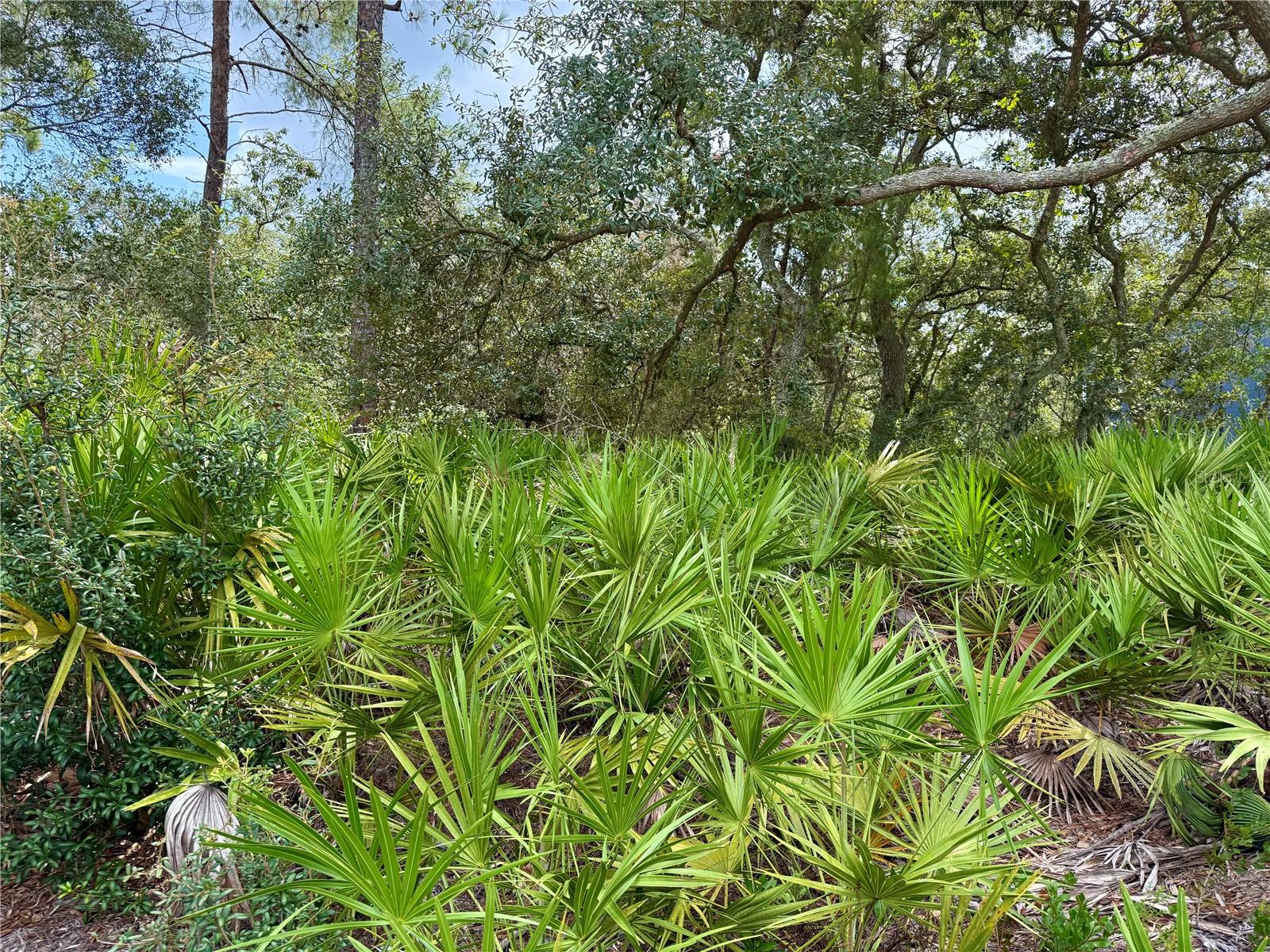 ROYAL TRAILS UNIT 01 - Land