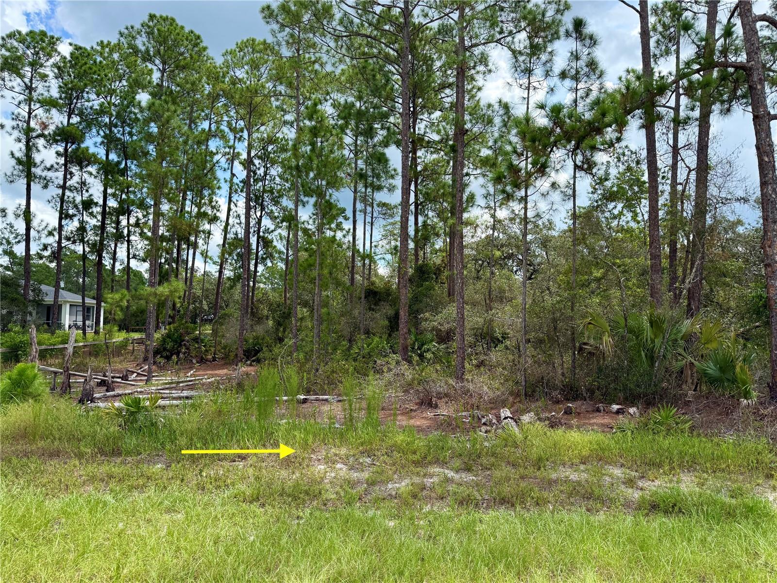 LOT 20 BALSAM STREET