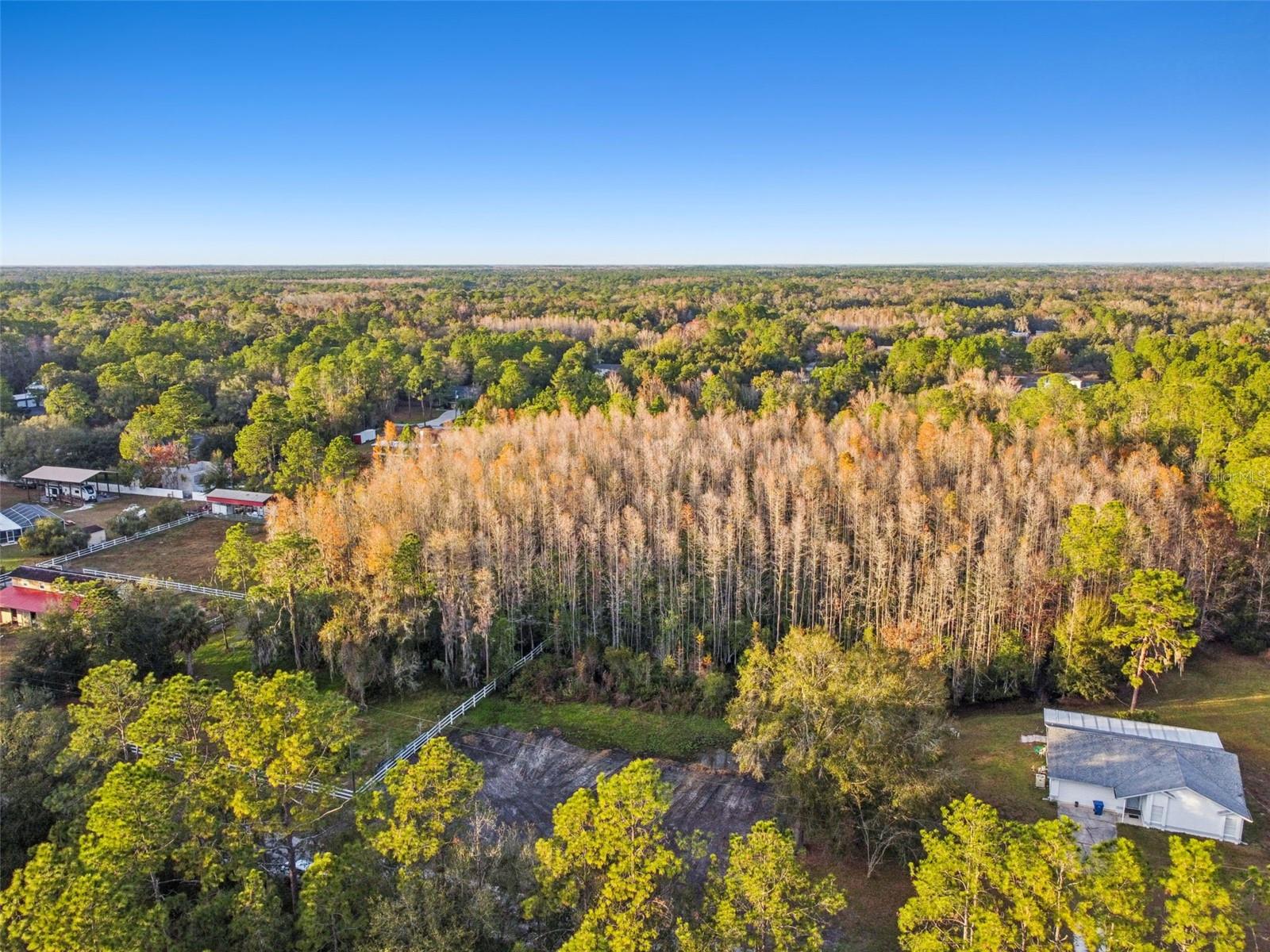 QUAIL HOLLOW PINES - Land