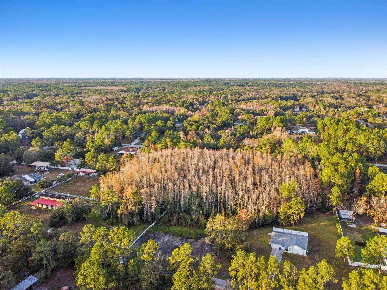 QUAIL HOLLOW PINES - Land