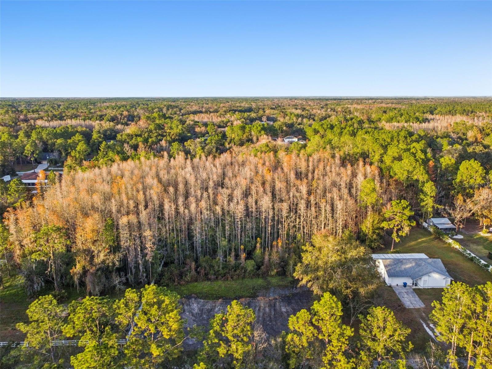 QUAIL HOLLOW PINES - Land