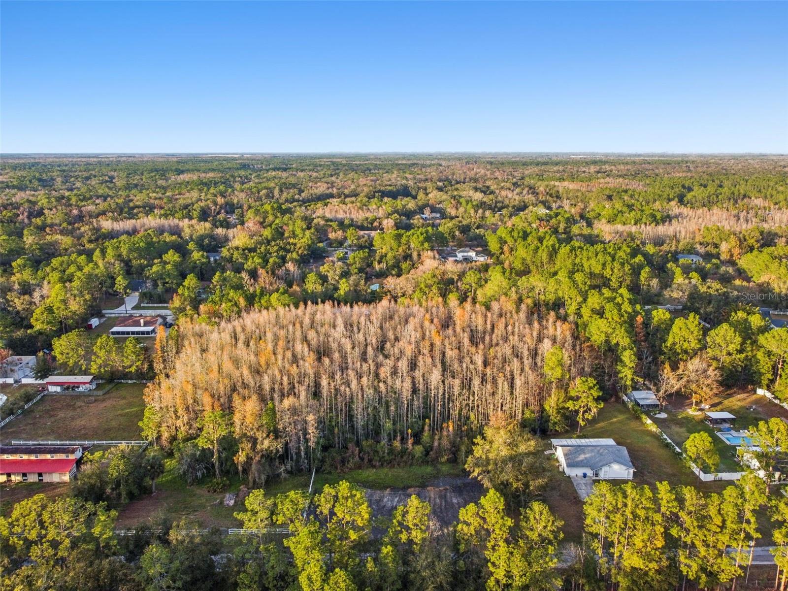 QUAIL HOLLOW PINES - Land