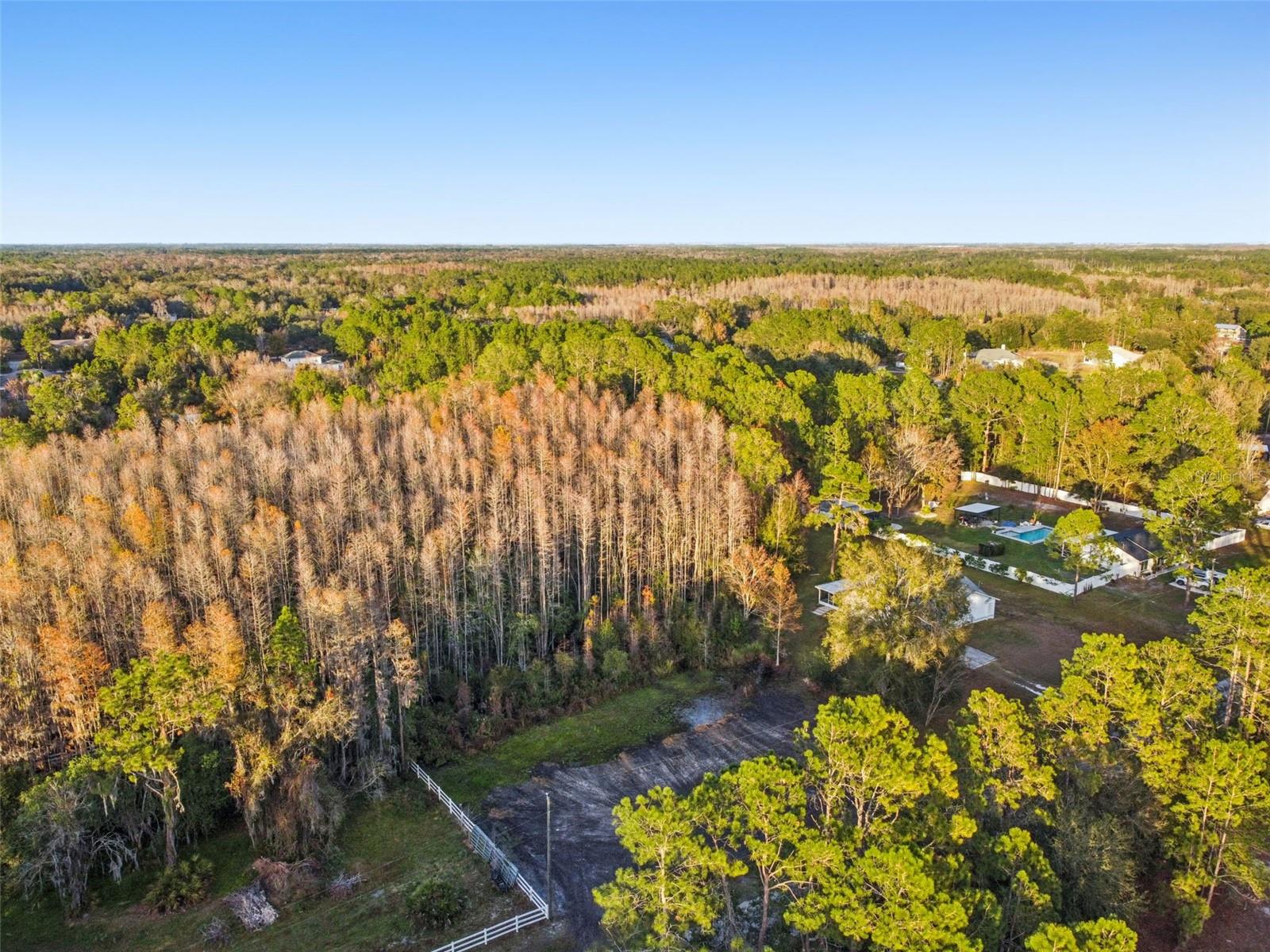 QUAIL HOLLOW PINES - Land