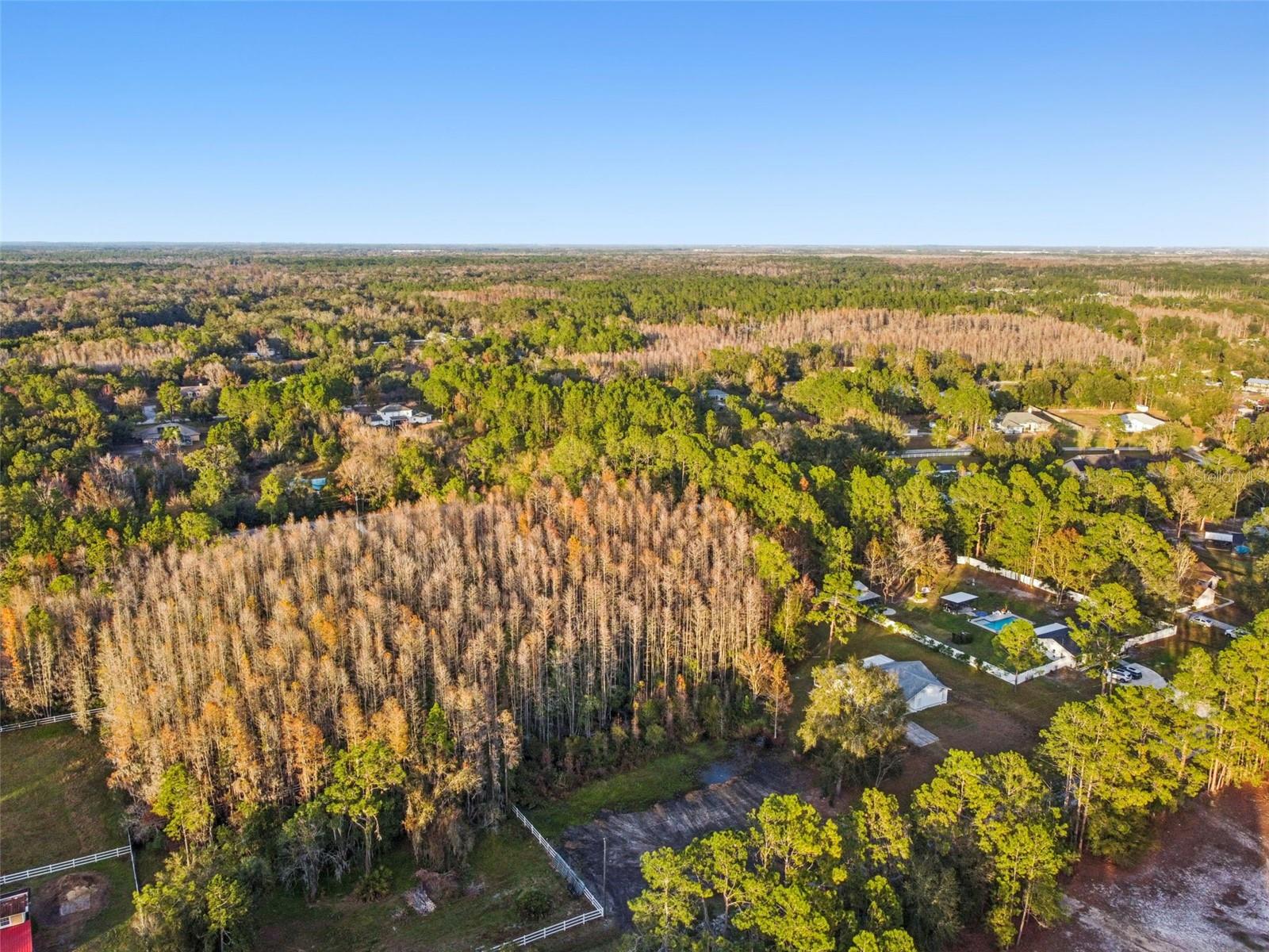 QUAIL HOLLOW PINES - Land