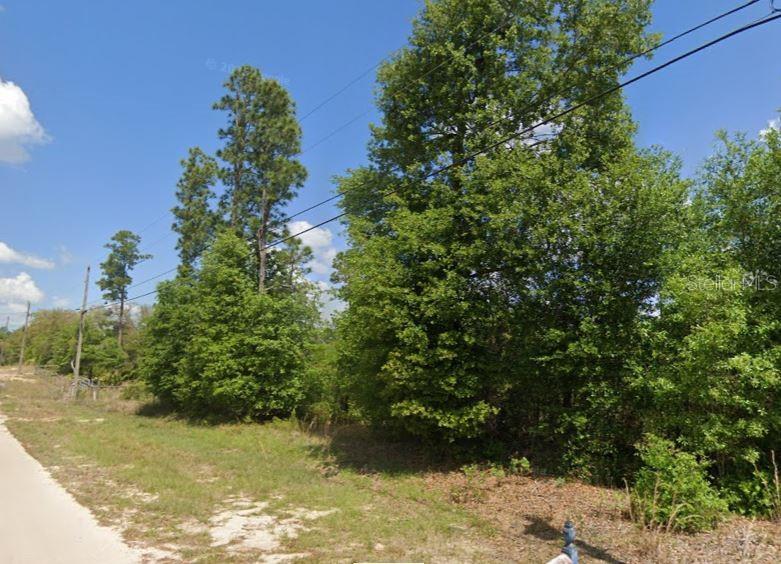 Photo of 5504 Jefferson Street, Keystone Heights, FL 32656 (MLS # A4702639)