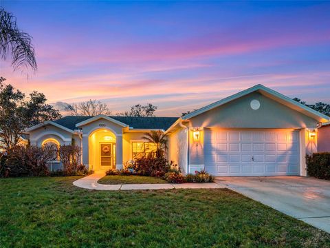 Photo of 14419 Pimberton Drive, Hudson, FL 34667 (MLS # TB8478342)