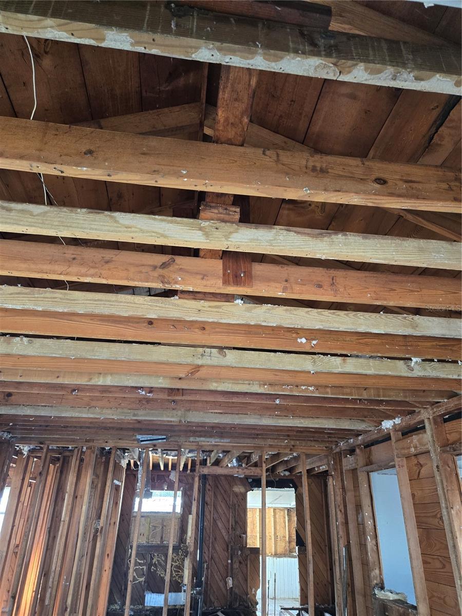 FLORIDENA REP - Residential