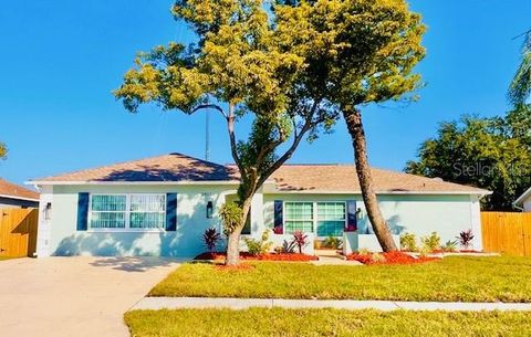 2817 NARCISSUS DRIVE HOLIDAY FL 34691