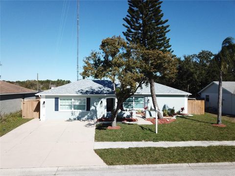 Photo of 2817 Narcissus Drive, Holiday, FL 34691 (MLS # TB8449532)